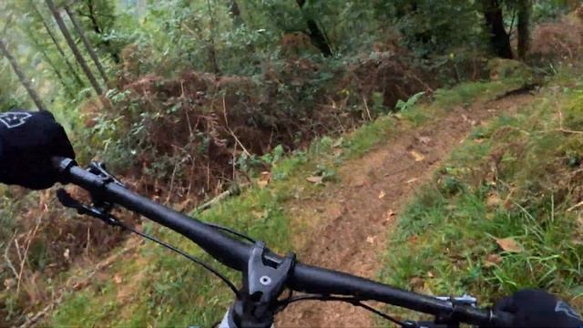 All New 2023 Orbea Wild смотреть онлайн