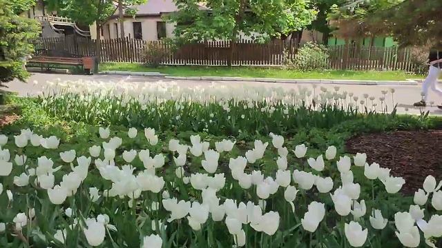 Белгород, красивый город 18 05 23 смотреть онлайн