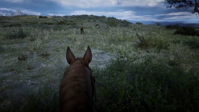 Red Dead Redemption 2 | UHG Reshade realisticLite | Realistic Graphics Mod 2020 смотреть онлайн