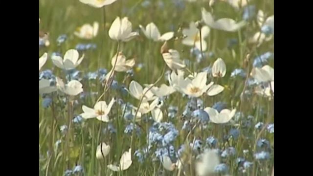 тойук Саха тыла Ваня Колодезников