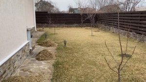 восстановление убитого газона