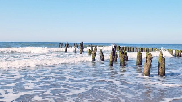 ☺🤪😜🤩Soneto de la dulce queja de Federico García Lorca en la voz de Eva Grijalva🎤🎥💯📽🎧🎞🎬❤ смотреть онлайн
