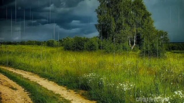 Свекровь относилась к невестке как к прислуге- Убери в комнатах, приготовь обед. - командовала она. смотреть онлайн