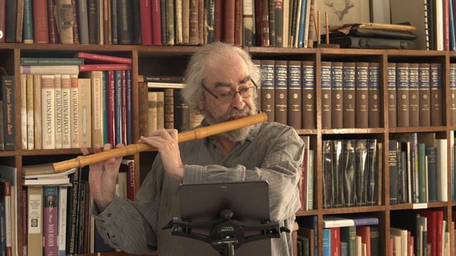 Demo - Tom Prescott Grenser Baroque Flute смотреть онлайн