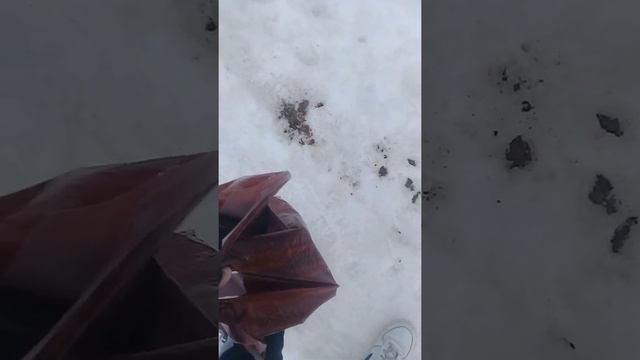 продолжение сдаю металл коплю на металлоискатель смотреть онлайн