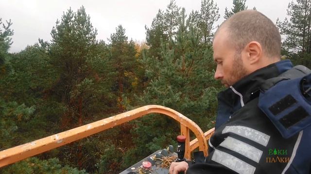 Сбор шишек в Финляндии смотреть онлайн