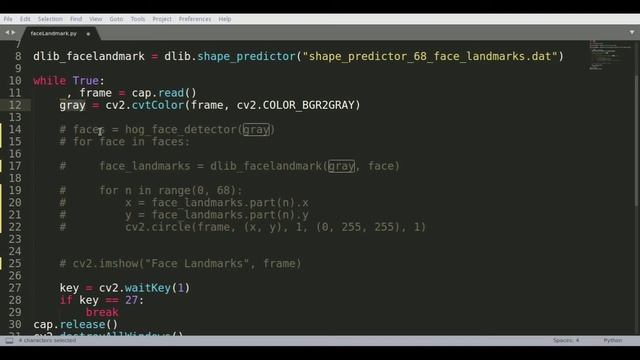 Face Landmark Detection using dlib - Python OpenCV смотреть онлайн