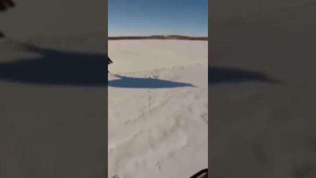 Кабан.факты смотреть онлайн