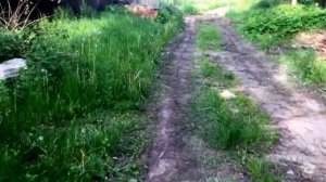 Делаем дорогу к дому асфальтовой крошкой.