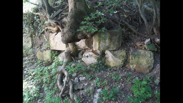 В поисках крепости Никопсия смотреть онлайн