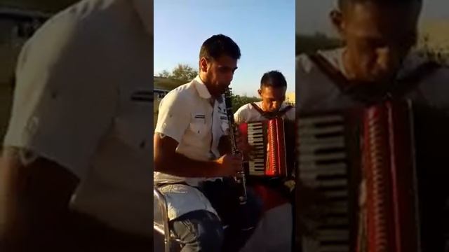 lis dibrani смотреть онлайн