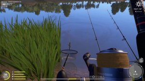 РР 4 ловим на живца.