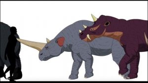 «Размеры фауны»