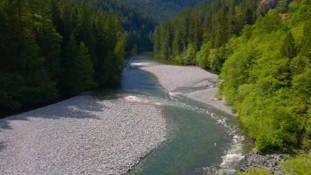 255. Лена Калашникова. Видение "тонких миров". 28.10.2021г. Ментальная структура над Украиной. смотреть онлайн