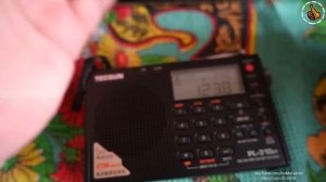 Tecsun PL-310ET Preview - Первый взгляд - Портативный радиоприемник