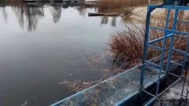 ищем песок в камыше, насыпаем на место болота кучу песка смотреть онлайн