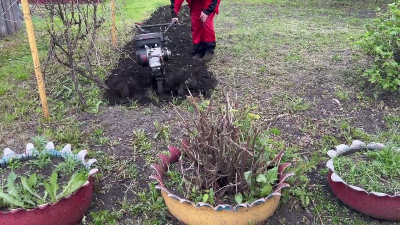 Культивирую мотоблоком смотреть онлайн