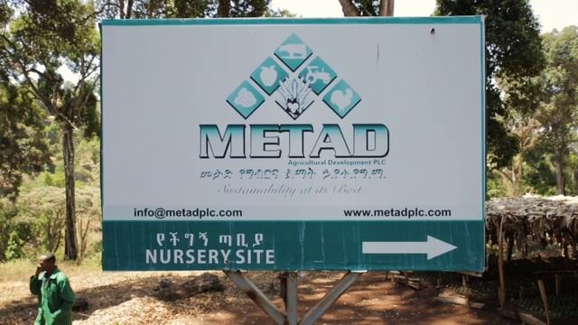 Shade Grown Coffee | Documentary About Sustainable Coffee Grown In The Shade