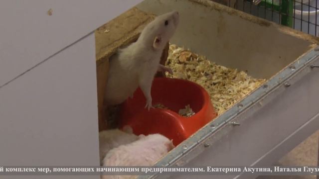 ГОРОД 51 от 24 декабря 2022 смотреть онлайн