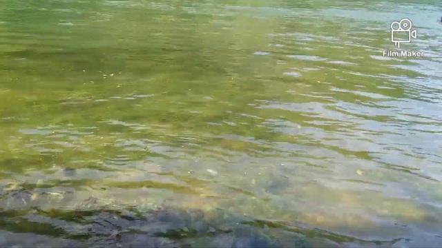 Kanyakan River sa Norzagaray Bulacan php 20 pesos lang смотреть онлайн