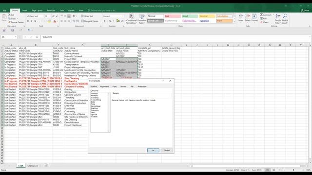 PCM P04 S32 - HOW TO EXPORT & IMPORT MS EXCEL FORMAT FROM & TO PRIMAVERA P6 ACTIVITY WINDOW LAYOUT смотреть онлайн