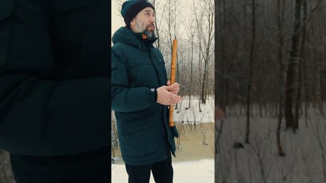 Природа и звук Сякухати/ Игра зимой смотреть онлайн