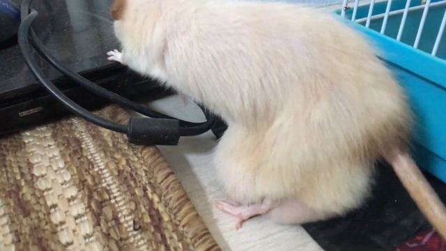 Секреты ухода за ногтями на лето