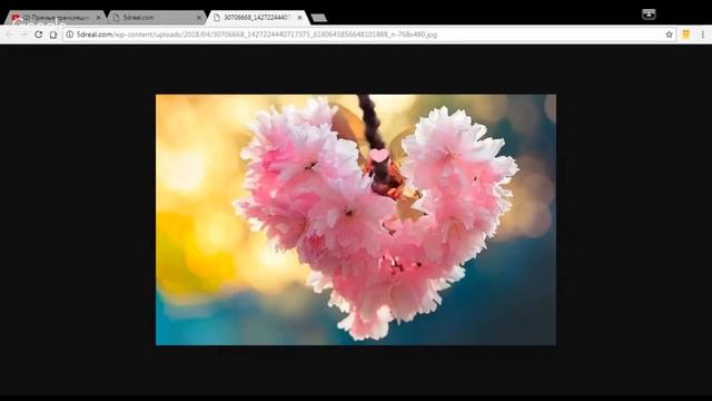 Климакс -действительно включает программу или...? ЧастьII смотреть онлайн