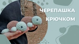 Мини-черепашка крючком/ Игрушка за пол часа/ Черепашка крючком/ Вязаная черепашка