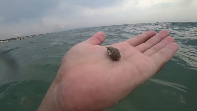 Изучаем дно в черном море район Анапы. смотреть онлайн