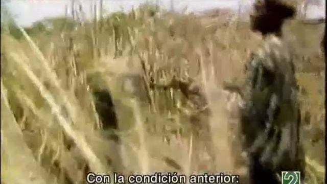 DH24 Derecho a jugar - vision sur recortado 2 смотреть онлайн