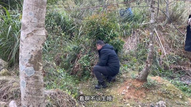 小梅为了小凤太拼了，大冷天来帮凤姐喂羊，希望她能支持我们 смотреть онлайн
