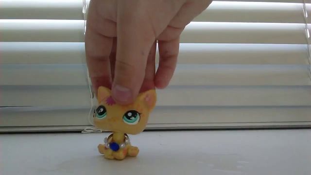 ~MV~ Кошка смотреть онлайн