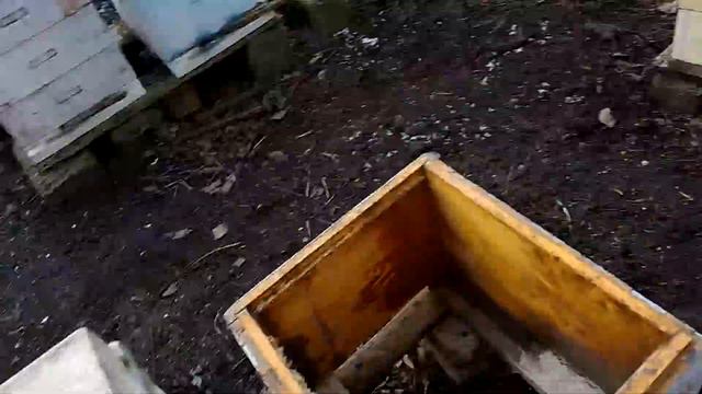 Как найти старую матку в ульях,где семьи уже вошли в роевое состояние и не только... смотреть онлайн