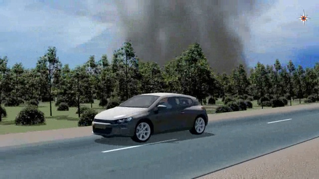 лесной пожар итог