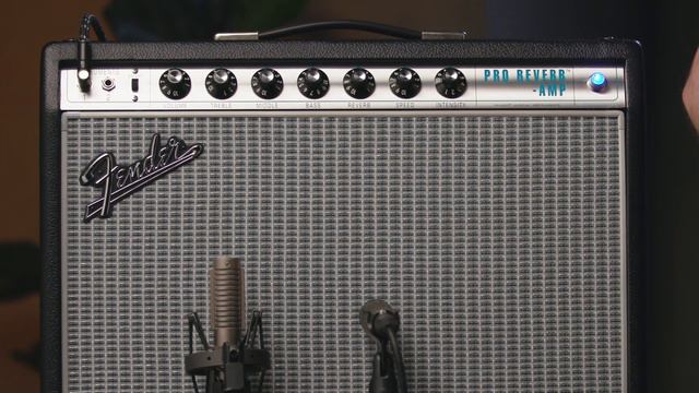 FENDER PROREVERB AMP смотреть онлайн