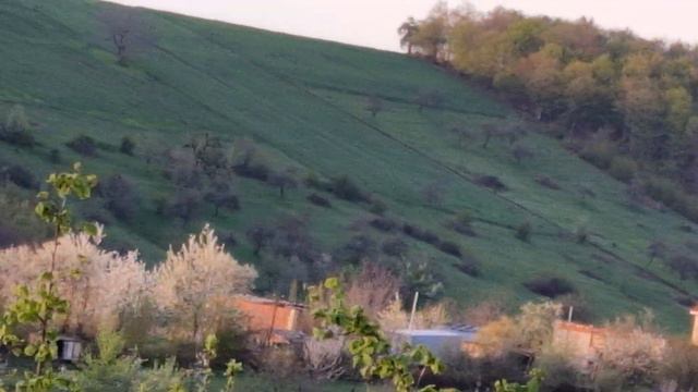 Кусары- Хуьрел _ Восход солнца 8K смотреть онлайн