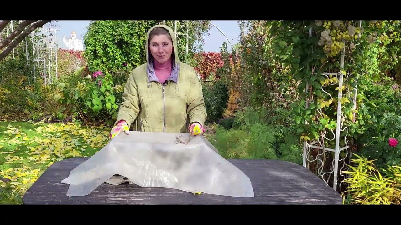 Укрытие КЛЕМАТИСОВ 2 группы обрезки. 100% результат зимовки! смотреть онлайн
