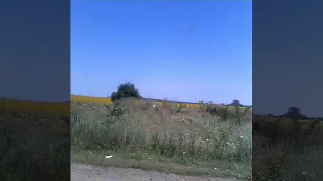 Едем к бабушке в деревню)) смотреть онлайн