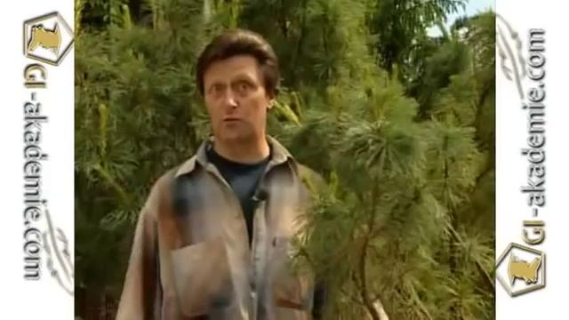 Хвойные -- дизайн - 7 смотреть онлайн