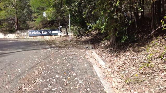 4K Walking Tour: Rumbalara Reserve (Gosford and Springfield, New South Wales, Australia). Part II. смотреть онлайн