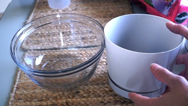 MONSTERA DELICIOSA PROPAGATION TUTORIAL: How To Propagate Your Monstera Deliciosa House Plant. смотреть онлайн