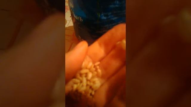 Как правильно выбрать полезный рис? смотреть онлайн