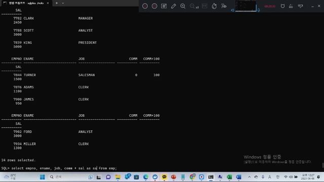 율곡선생 77기 4강 oracle 오라클 데이터베이스 널 Null, nvl함수 사용법, distinct 중 смотреть онлайн
