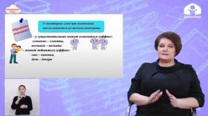 3-класс   | Русский  язык |  Изменение имен существительных по числам