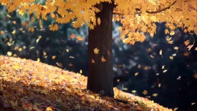 Райнер Рильке стихи смотреть онлайн