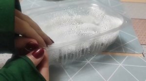 Как вырастить Помело из косточки в домашних условиях?