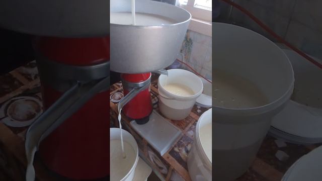 вот так появляется вкусная домашняя натуральная сметана ))) смотреть онлайн