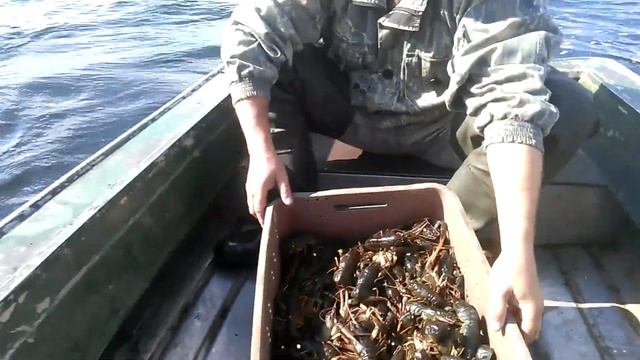 Раки 2 смотреть онлайн