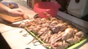 Убой и разделка перепелов легко и просто!